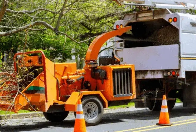 tree removal Marble Cliff oh