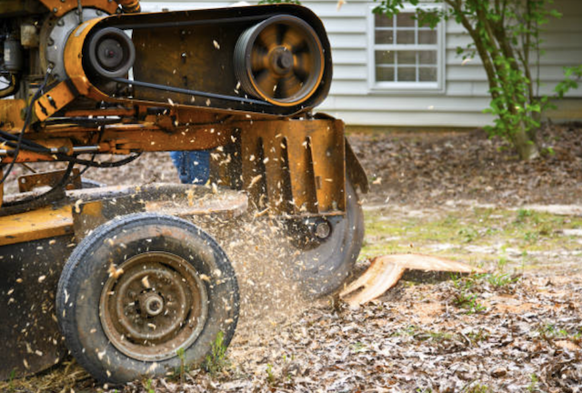 stump grinding franklin oh